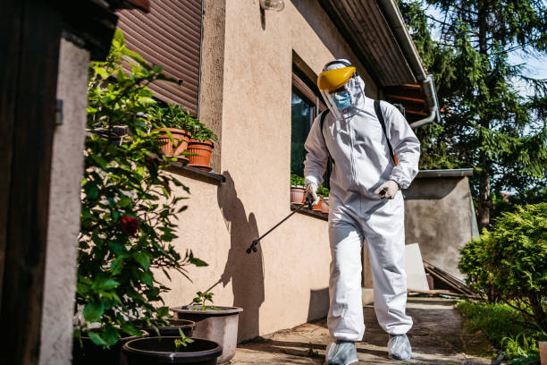 Bird Control in Newark, NJ