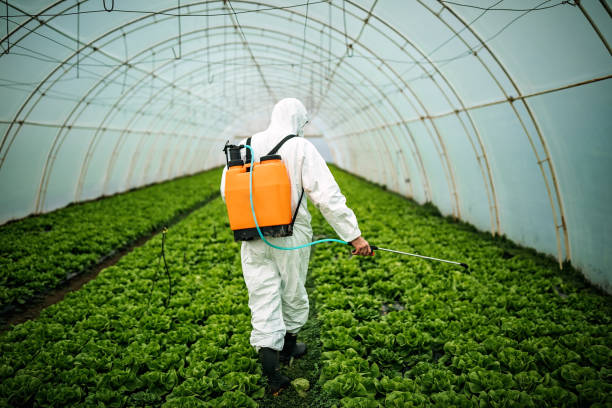 Best Pest Inspection Near Me  in Newark, NJ