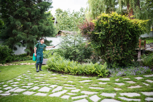 Best Pest Removal Services  in Newark, NJ