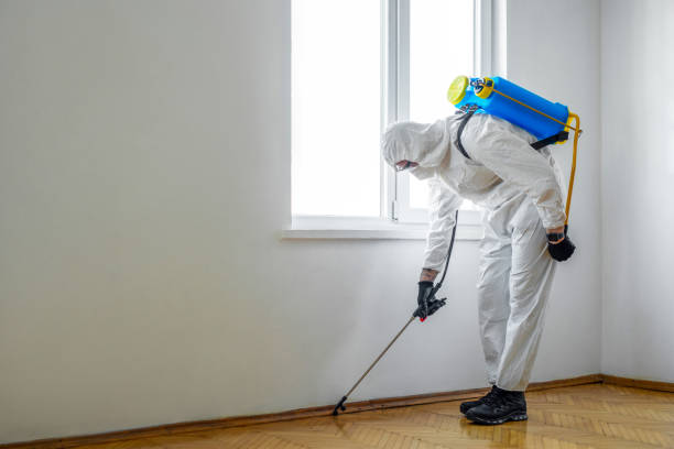 Best Flea Control Services  in Newark, NJ