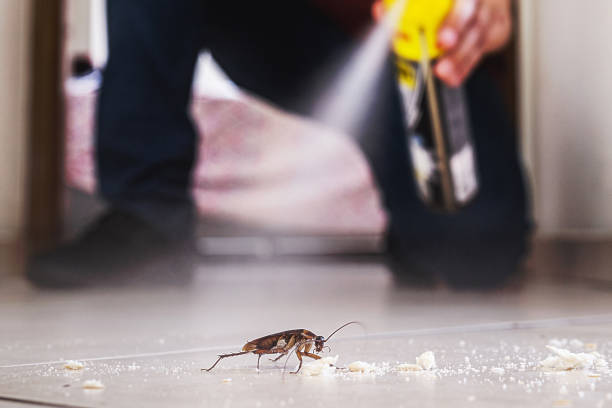 Best Commercial Pest Control Services  in Newark, NJ