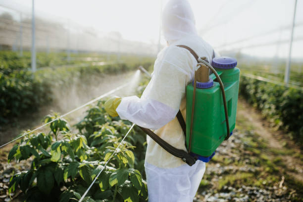 Trusted Newark, NJ Pest Control Experts